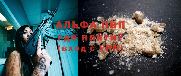 СК Бородино