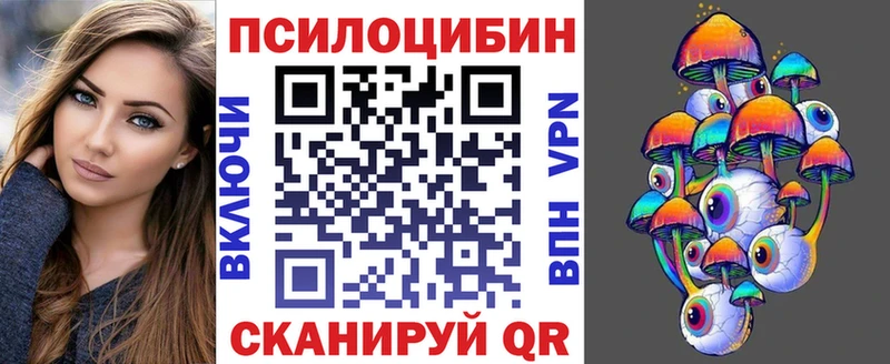 площадка формула  Красногорск  Галлюциногенные грибы Psilocybe 